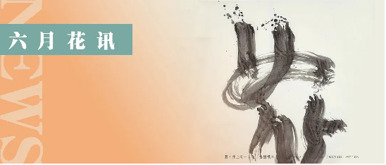 6-7月花訊16.png